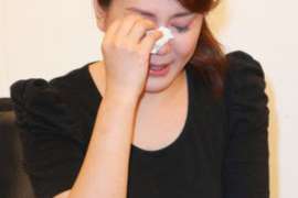 鄄城小三调查